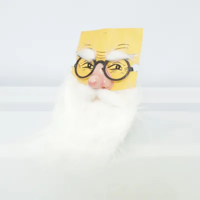 Costume accessories (White, Multicolored)