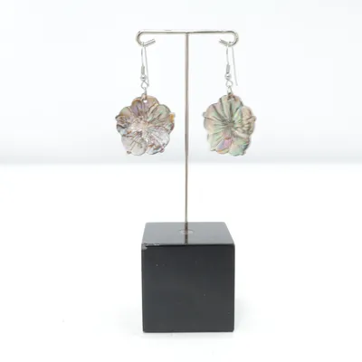 Earrings (Multicolored) Unknown metal