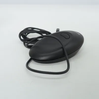 Souris d'ordinateur (Wireless Mouse Receiver V1.0) de Microsoft