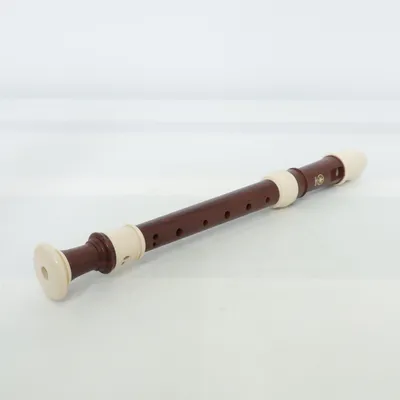 Instrument à vent (Marron, Beige) de Yamaha