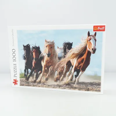 Puzzel van Trefl