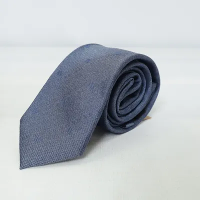 Cravate (Bleu) de Royal class Coton, Polyester, Soie