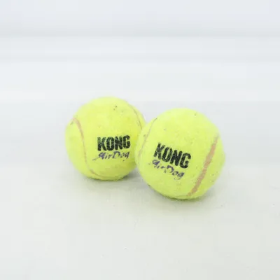 Dog toy (Air Dog) from Kong