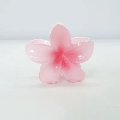 Pince à cheveux (Rose)