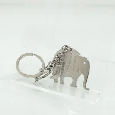 Keyring (Silver) from Morellato