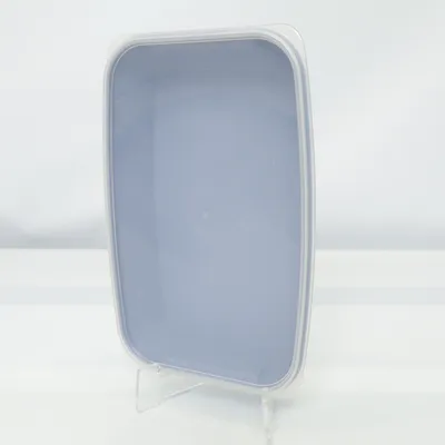 Lunch box (Blue, Transparent) from Orthex