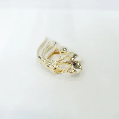 Broche (Goud) Onbekend materiaal