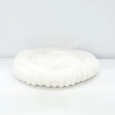 Lit pour animaux de compagnie (Blanc)