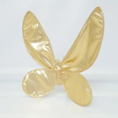 Costume accessories (Gold)