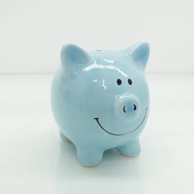Spaarpot (Blauw)