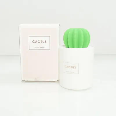 Bevochtiger (Wit, Groen) van Cactus
