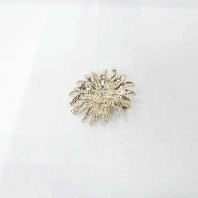 Brooch (Gold) Unknown metal