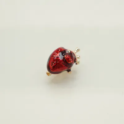 Broche (Rood, Goud) Onbekend materiaal