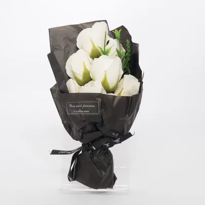 Konstgjord växt (Vit, Svart)