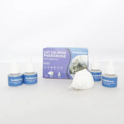 Kattillbehör (Sicherheitsvermitteltende Pheromone)