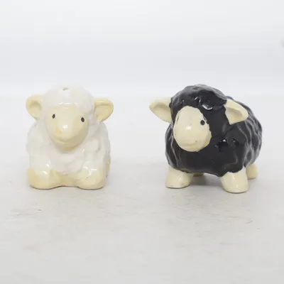 Salières et poivrières (Blanc, Noir)