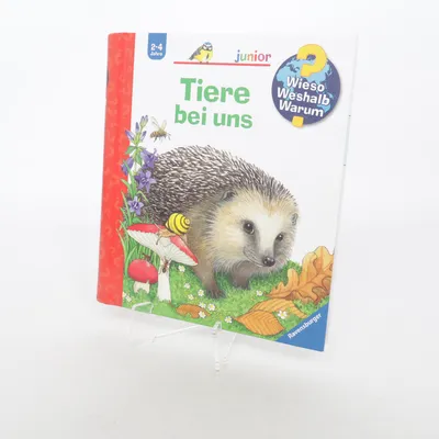 Children's book