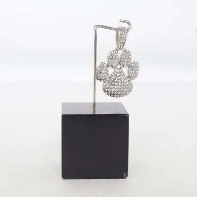 Pendentif (Argent) Métal inconnu