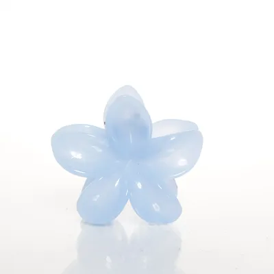 Haarklem (Blauw)
