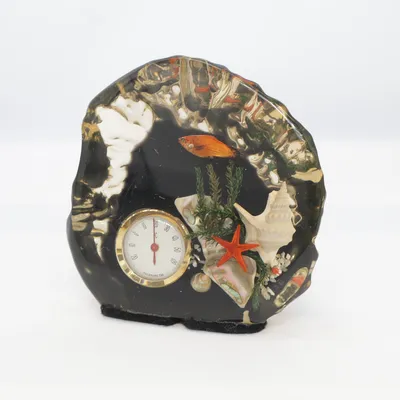 Termometer (Svart, Flerfärgad)