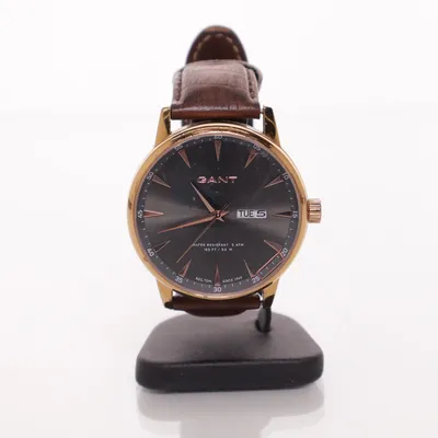 Wristwatch (Brown, Gray, Gold) from GANT