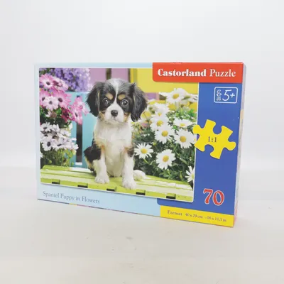 Pussel från Castorland Puzzle