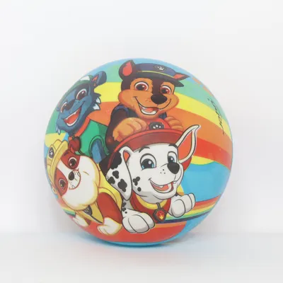 Ball (Multicolored) from Spin Master Ltd