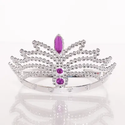 Tiara (Silver, Purple)