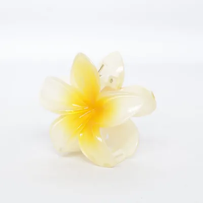 Pince à cheveux (Jaune, Blanc)