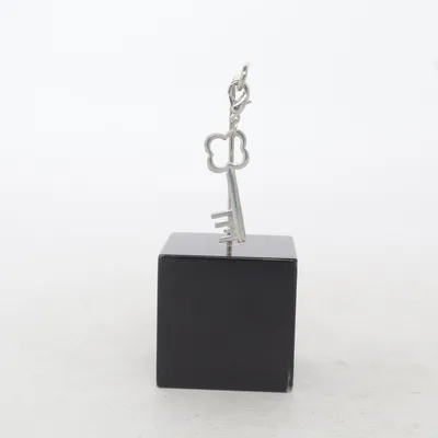 Charme (Argent) Métal inconnu