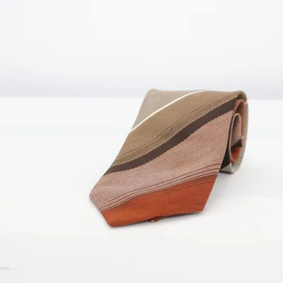 Tie (Brown, Gray, Multicolored) from Scanlie Polyester