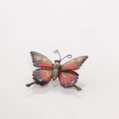 Broche (Meerkleurig) Onbekend materiaal