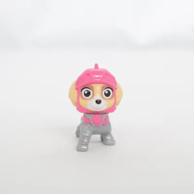 Speelgoedfiguur (Skye) van Spin Master