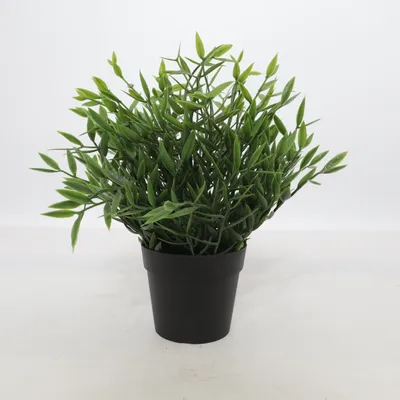 Konstgjord växt (604.339.39) från IKEA