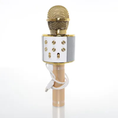 Karaokemaskine (WS-858)