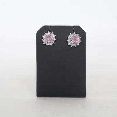 Oorbellen (Roze, Zilver) Onbekend materiaal