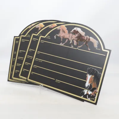 Anslagstavla (Svart, Flerfärgad)