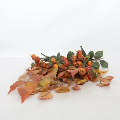 Artificial plant (Orange, Green, Brown)