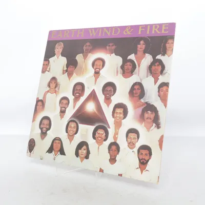 Vinylplade