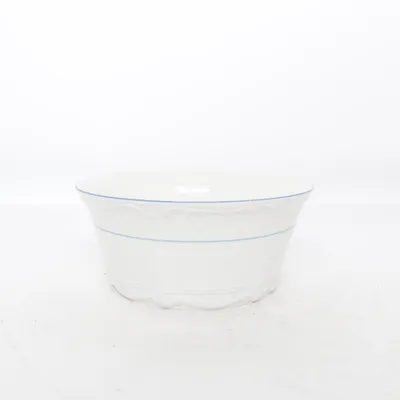 Bowl (White, Blue) from Eschenbach