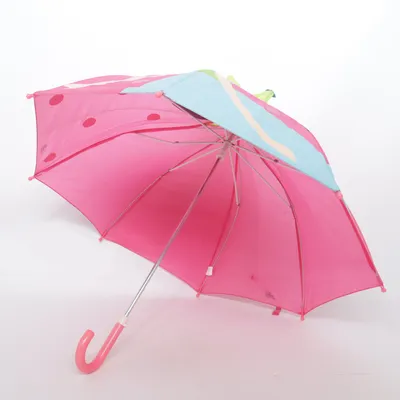 Parapluie (Rose) de L Dake & Zn