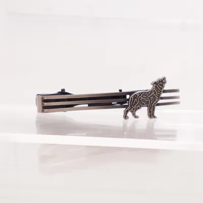Tie pin (Silver) Unknown metal