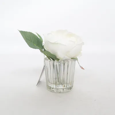 Artificial plant (White) from Sia Home Fashion