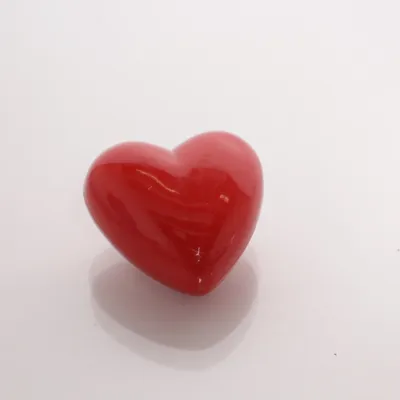 Broche (Rood) Onbekend materiaal