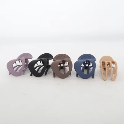 Pince à cheveux (Multicolore)