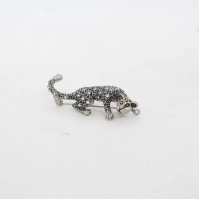 Broche (Zilver) Onbekend materiaal