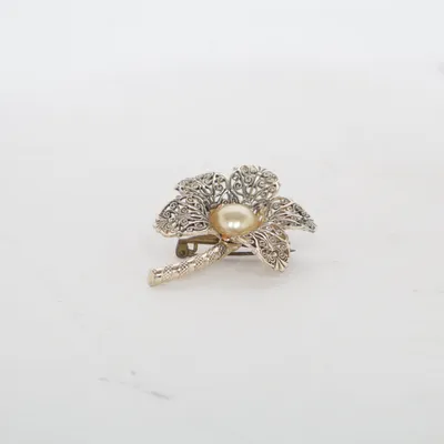 Broche (Zilver) Onbekend materiaal