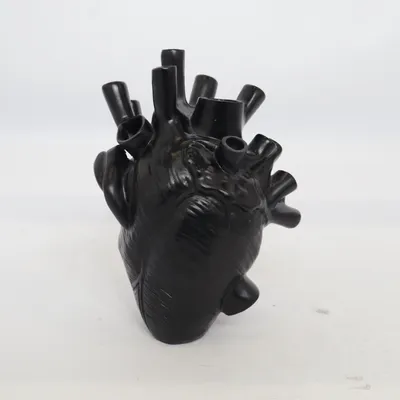 Anatomimodell (Svart)