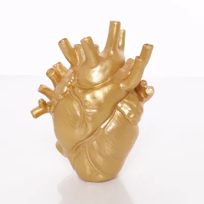 Anatomie model (Goud)