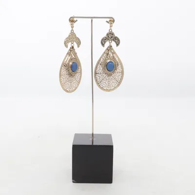 Boucles d'oreilles (Or) Métal inconnu